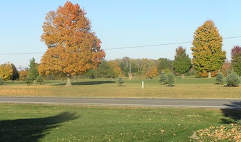 Maple Lane Country Club 350